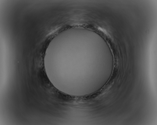 X0000086751350200705041419