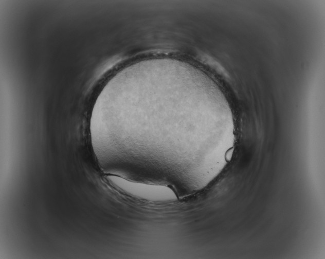 X0000086751352200705041419