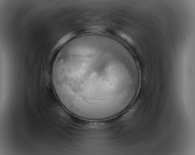 X0000086751354200705041419