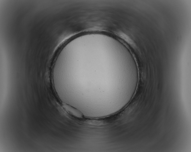 X0000086751356200705041419