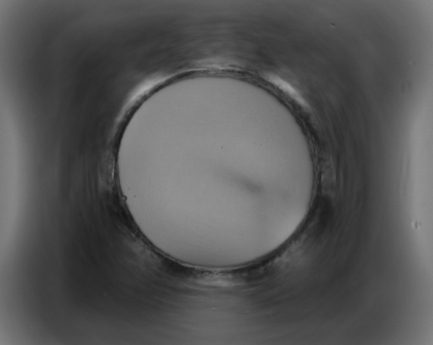 X0000086751358200705041419