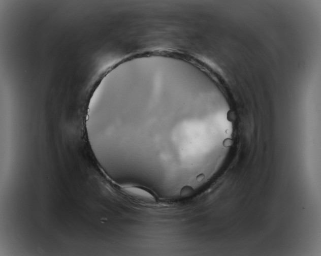 X0000086751359200705041419