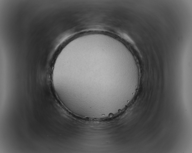 X0000086751360200705041419