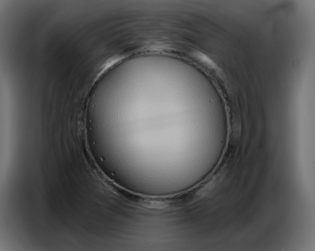 X0000086751361200705041419