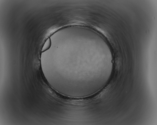 X0000086751363200705041419