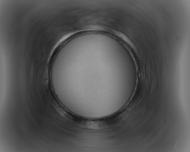 X0000086751364200705041419