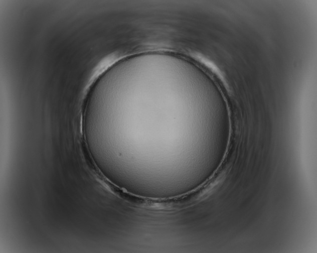 X0000086751365200705041419