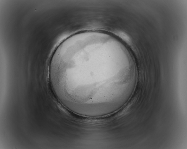 X0000086751366200705041419