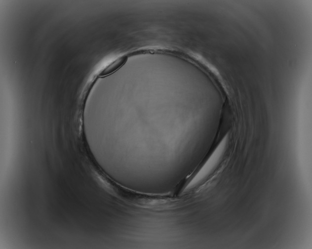 X0000086751367200705041419