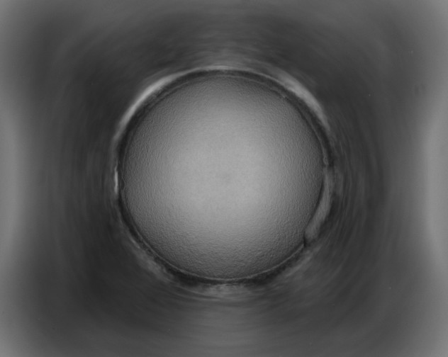 X0000086751368200705041419