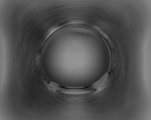 X0000086751369200705041419