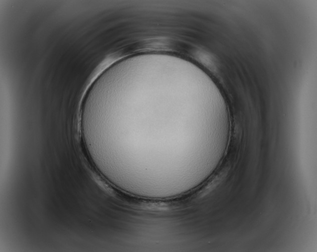 X0000086751370200705041419