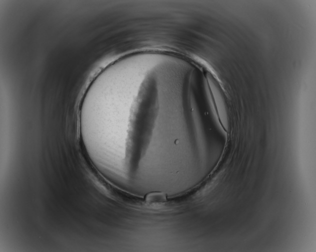 X0000086751371200705041419