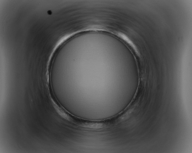 X0000086751372200705041419