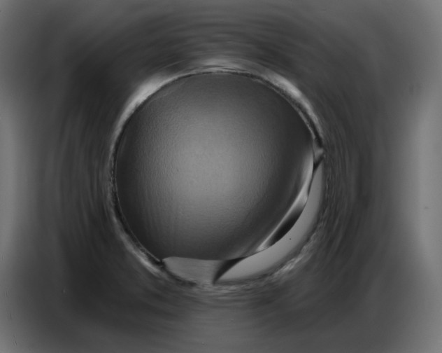 X0000086751373200705041419