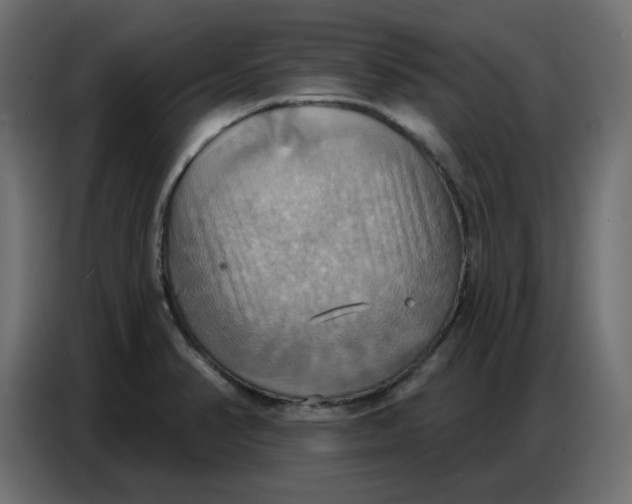 X0000086751374200705041419