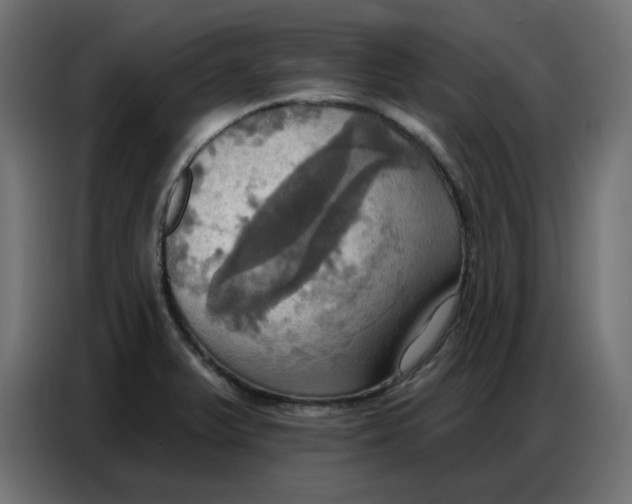 X0000086751375200705041419