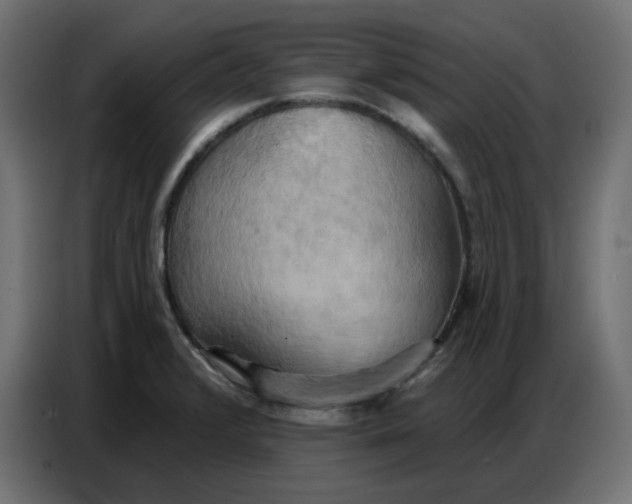 X0000086751376200705041419