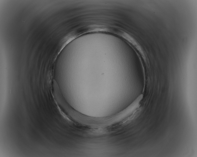 X0000086751377200705041419