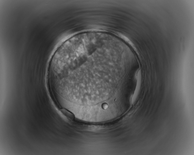 X0000086751379200705041419