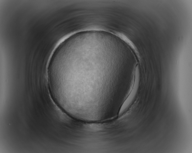 X0000086751380200705041419