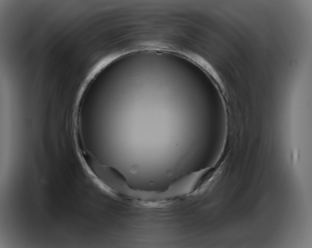 X0000086751381200705041419