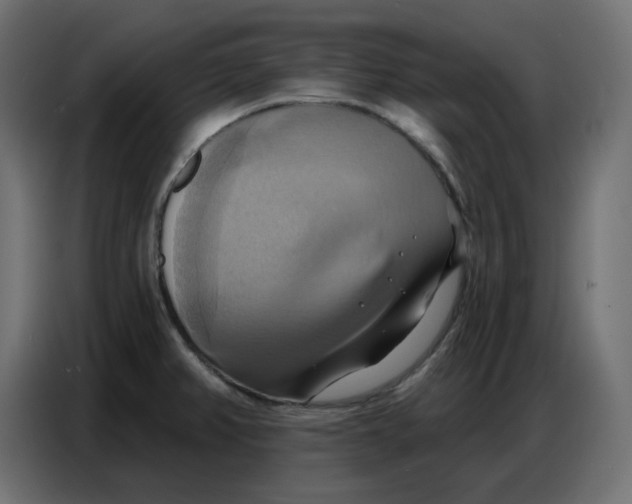 X0000086751382200705041419