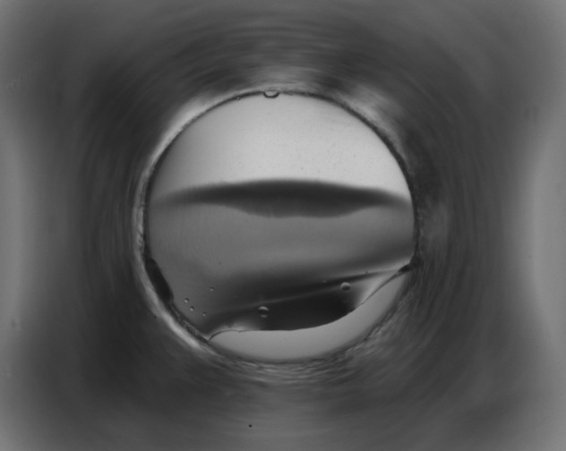 X0000086751383200705041419