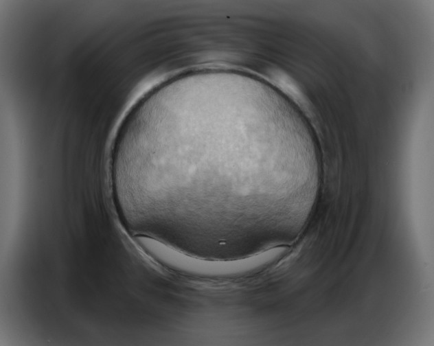 X0000086751384200705041419