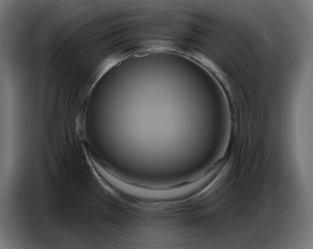 X0000086751385200705041419