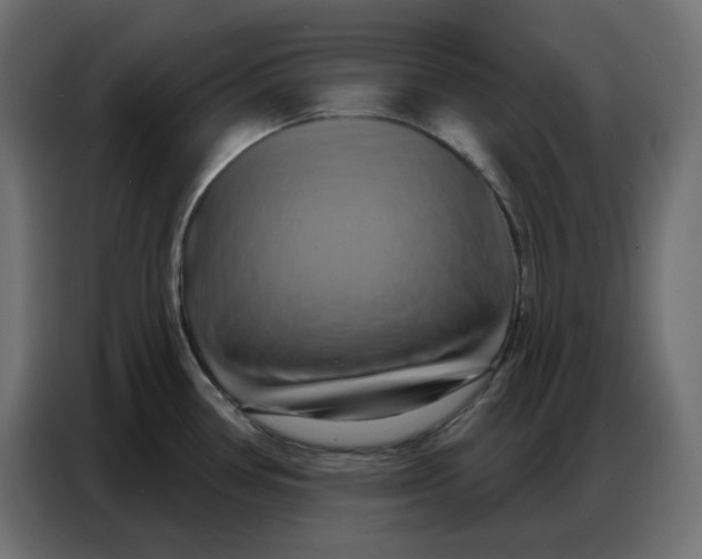 X0000086751386200705041419