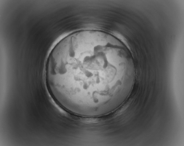 X0000086751387200705041419