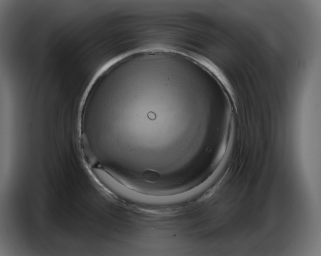 X0000086751388200705041419