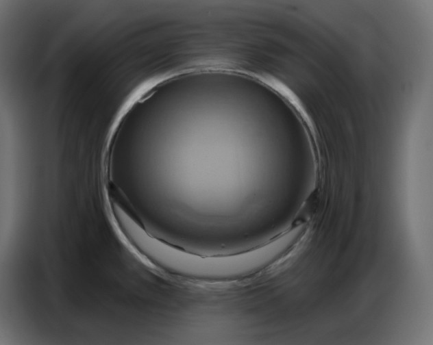 X0000086751389200705041419