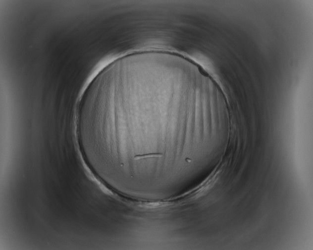 X0000086751390200705041419