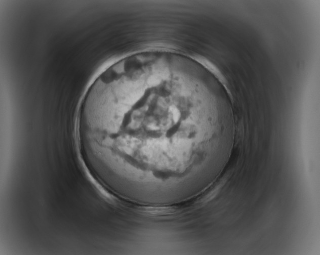 X0000086751391200705041419