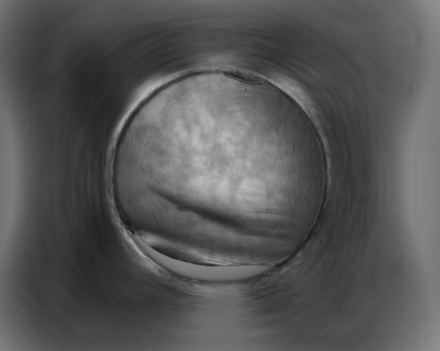 X0000086751392200705041419