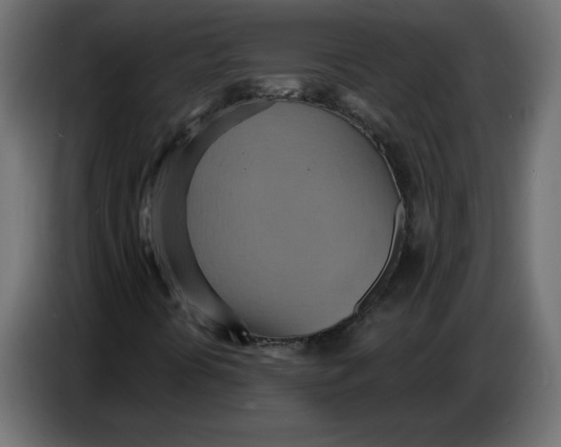 X0000086751394200705041418