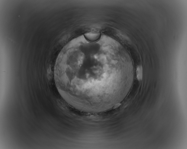 X0000086751395200705041418