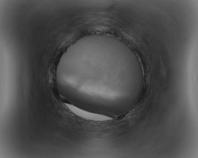 X0000086751397200705041418