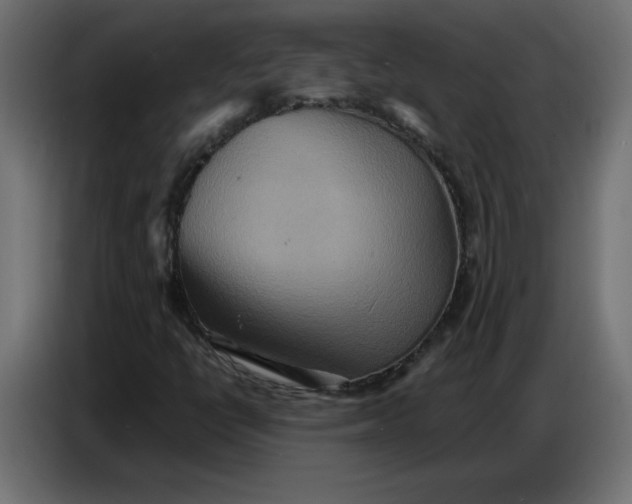 X0000086751398200705041418