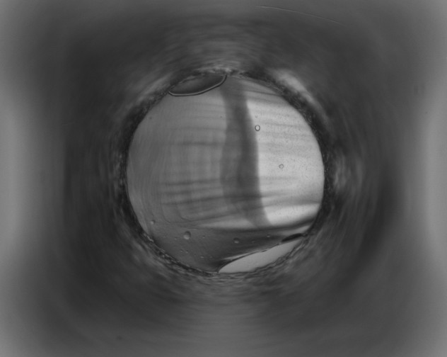 X0000086751399200705041418