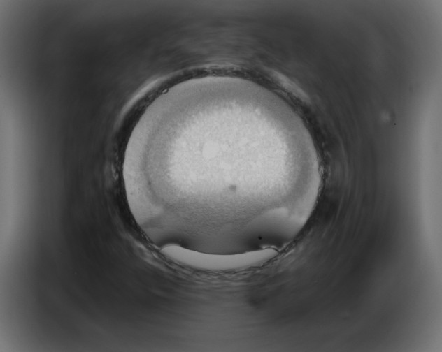 X0000086751400200705041418