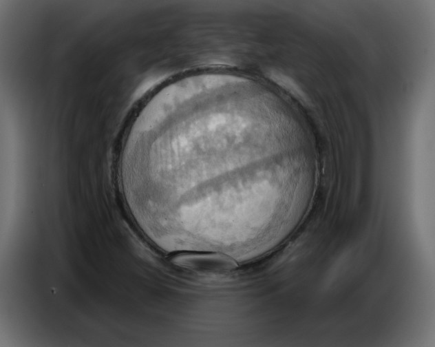 X0000086751404200705041418