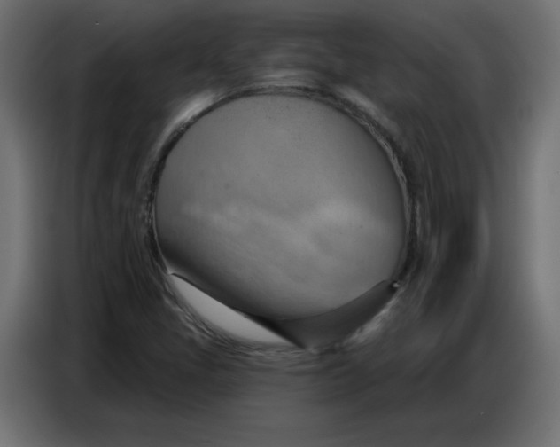 X0000086751405200705041418