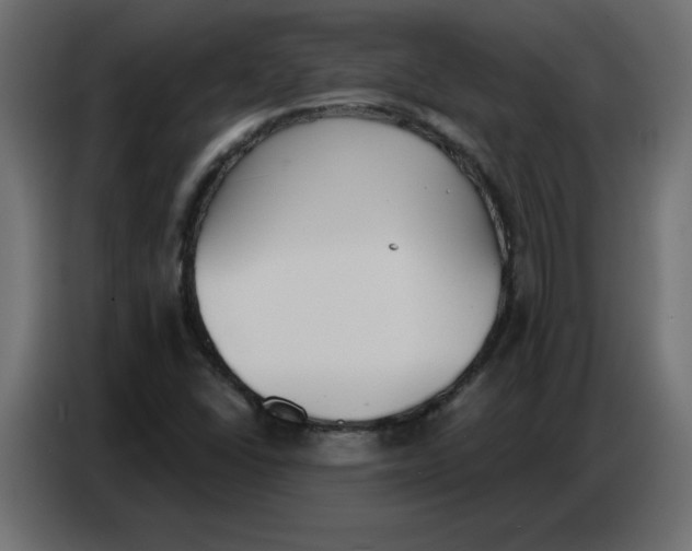 X0000086751406200705041418