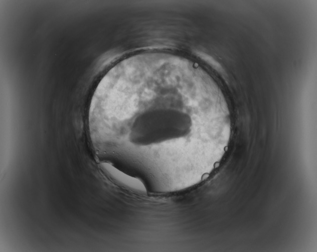 X0000086751407200705041418