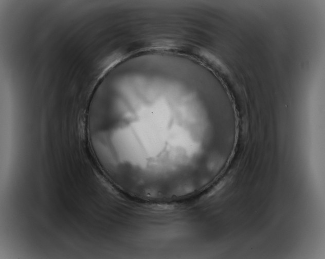 X0000086751409200705041418