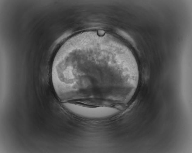 X0000086751411200705041418