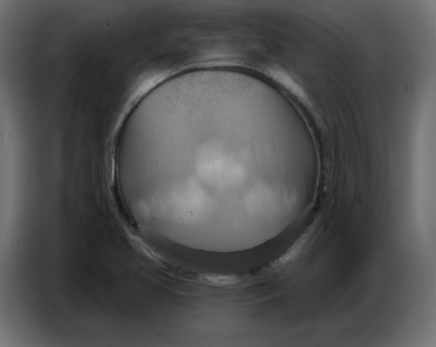 X0000086751413200705041418